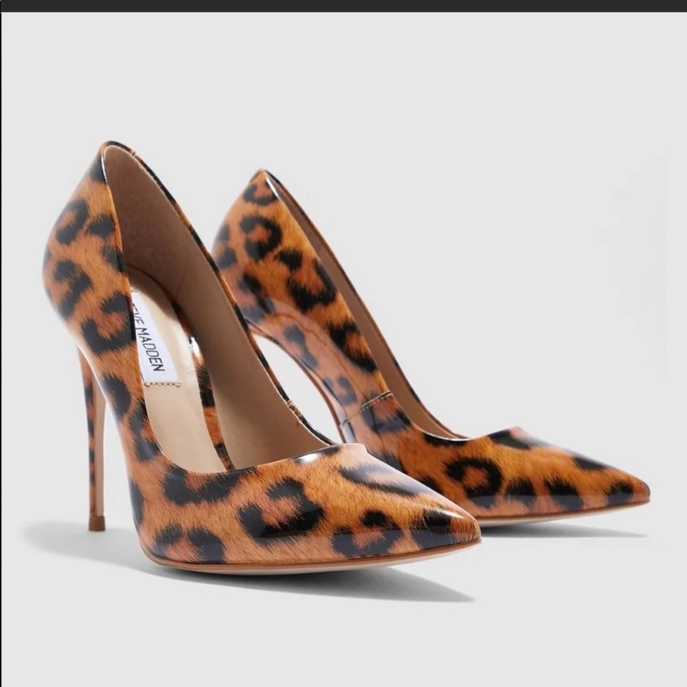 Steve Madden vala pant pumps in leopard